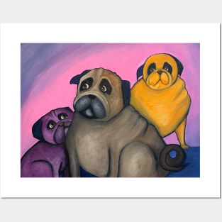 three pugs Posters and Art